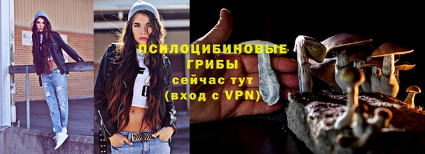 мет Заводоуковск